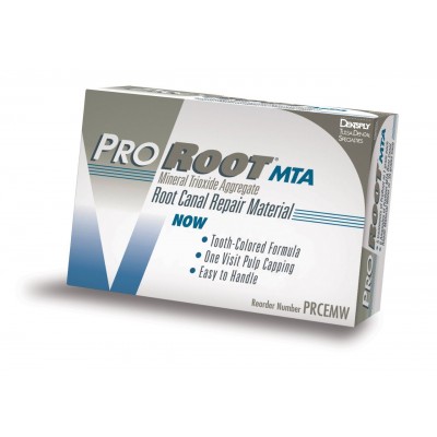 Kit Proroot MTA - полный комплект для исправления дефектов корневых каналов A04060000020
